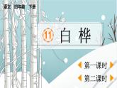 统编版小学语文 四年级下册 3-11白桦 两课时课件
