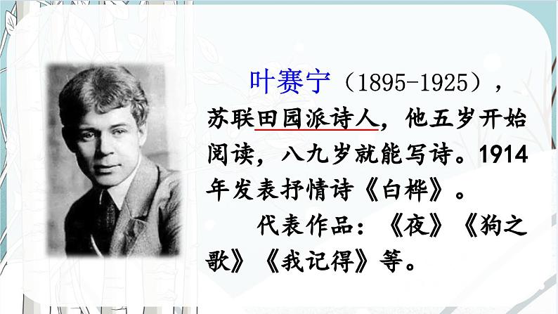 统编版小学语文 四年级下册 3-11白桦 两课时课件第4页