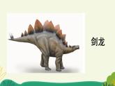 统编版小学语文 四年级下册 2-6飞向蓝天的恐龙 教学课件