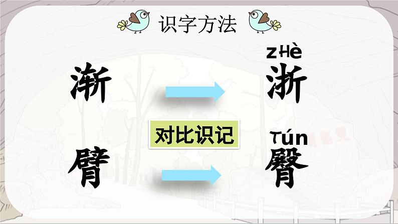 统编版小学语文 四年级下册 5-17记金华的双龙洞 两课时课件第6页