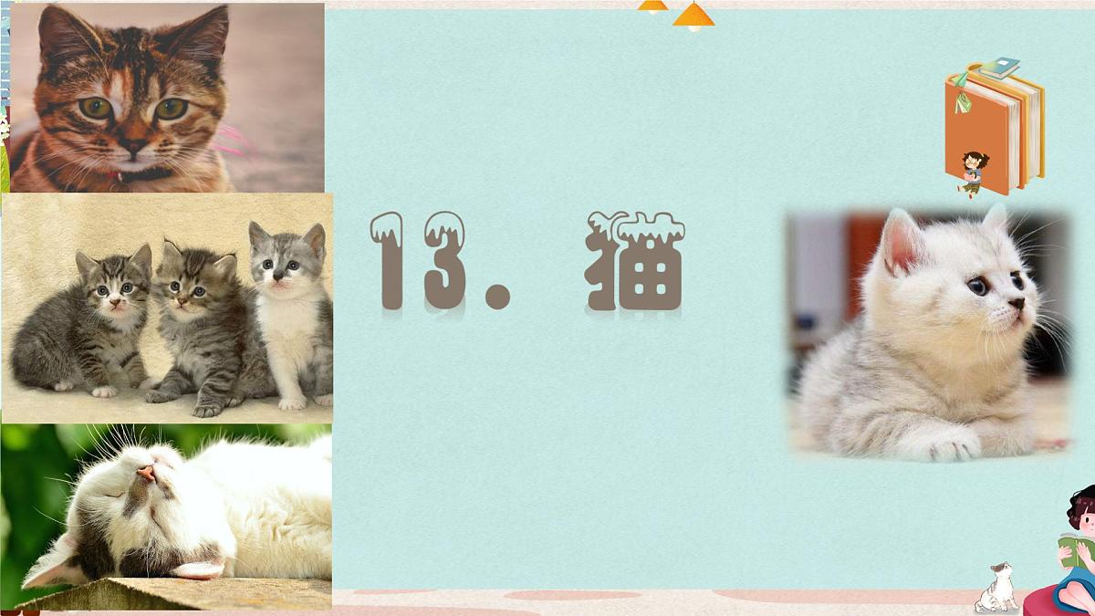 统编版小学语文 四年级下册4-13 猫 教学课件第2页