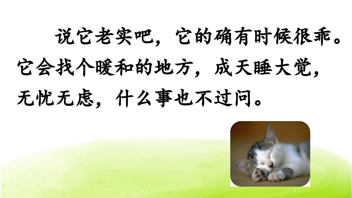 统编版小学语文 四年级下册4-13 猫 教学课件第7页