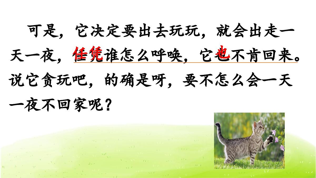 统编版小学语文 四年级下册4-13 猫 教学课件第8页