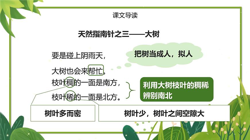 人教版（2024）二年级语文下册17要是你在野外迷了路课件第8页