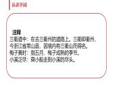 人教版（2024）三年级语文下册1古诗三首-三衢道中课件