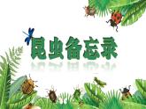 部编版语文三年级下册 4《昆虫备忘录》课件+逐字稿+音视频素材