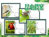 部编版语文三年级下册 4《昆虫备忘录》课件+逐字稿+音视频素材