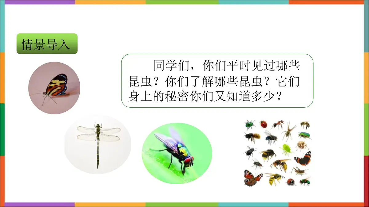 人教版（2024）三年级语文下册4昆虫备忘录课件第2页