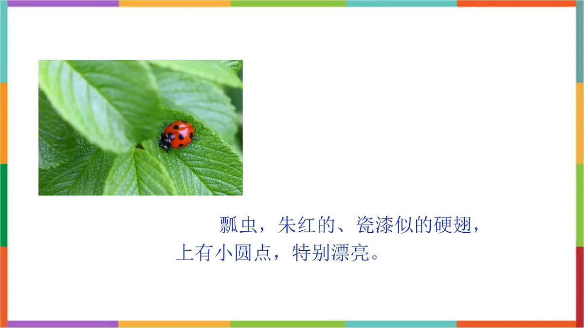 人教版（2024）三年级语文下册4昆虫备忘录课件第7页