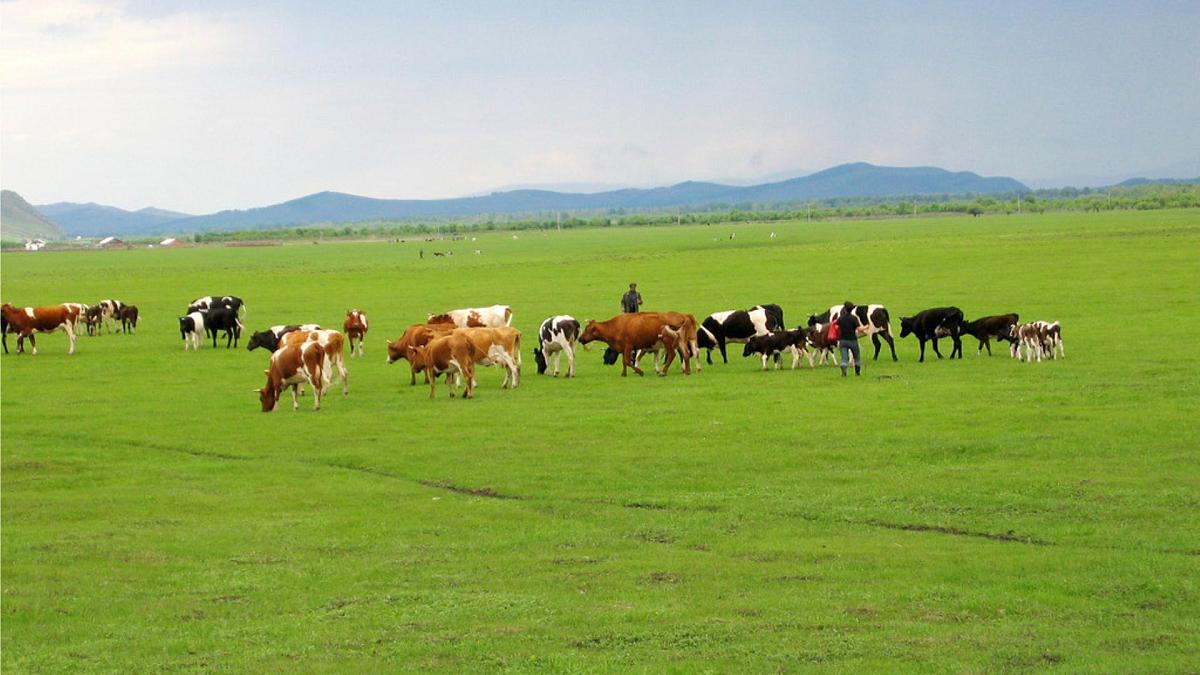 统编版小学语文四年级下册 第一单元《语文园地一》教学课件（第二课时）第5页