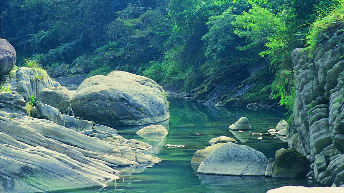 统编版小学语文四年级下册 第一单元《语文园地一》教学课件（第二课时）第6页