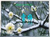统编版语文四年级上册9 古诗三首《雪梅》  课件