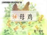 统编版语文四年级下册第14课《母鸡》课件