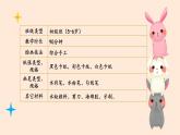 243、《我的小台灯》+课件