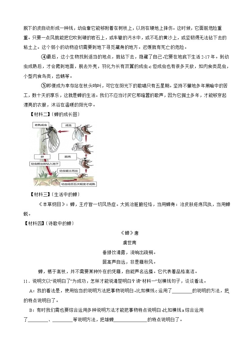 山东省济南市高新区2024-2025学年五年级上学期语文期末试卷第3页