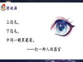 部編版2025一年級下冊語文識字4、《猜字謎》 課件