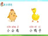 部編版2025一年級(jí)下冊(cè)語文4、《小公雞和小鴨子》 課件