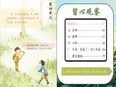 部編版語文三年級下冊 第四單元復(fù)習(xí)課件PPT