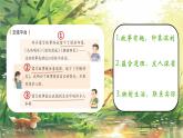 部編版語文三年級下冊 第二單元復習課件PPT