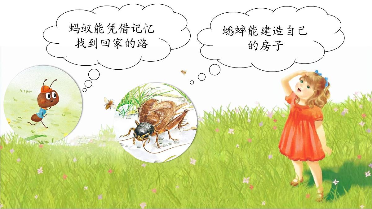 14《蜜蜂》第1页