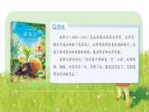 部编版语文三年级下册 14《蜜蜂》课件+音视频素材