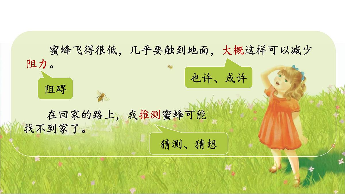 14《蜜蜂》第6页