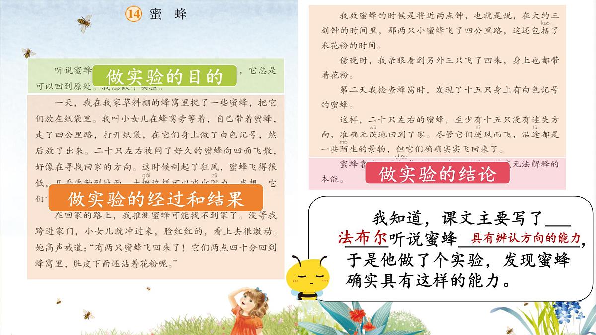 14《蜜蜂》第8页