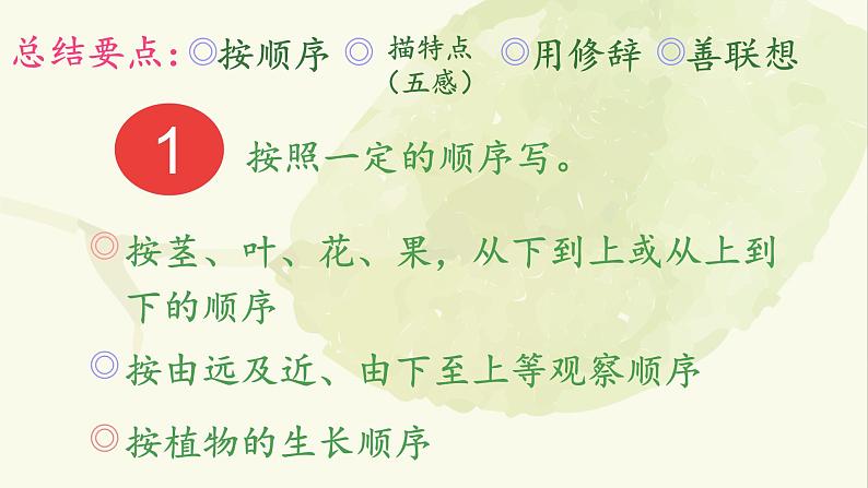 部编版语文三年级下册《习作一：我的植物朋友》课件第8页