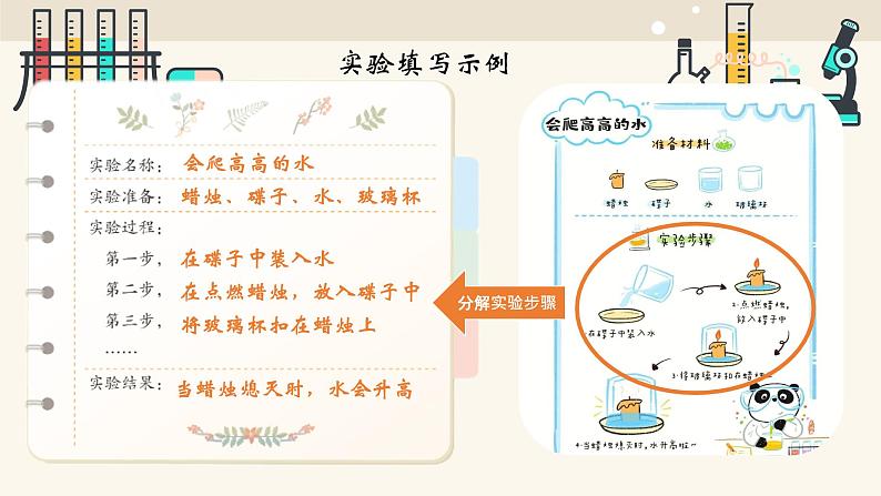 部编版语文三年级下册《习作四：我做了一项小实验》课件第5页