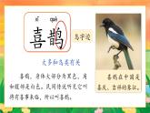 【任務(wù)型】部編版語文一年級(jí)下冊 5《樹和喜鵲》課件+教案+逐字稿+學(xué)習(xí)任務(wù)單+音視頻素材