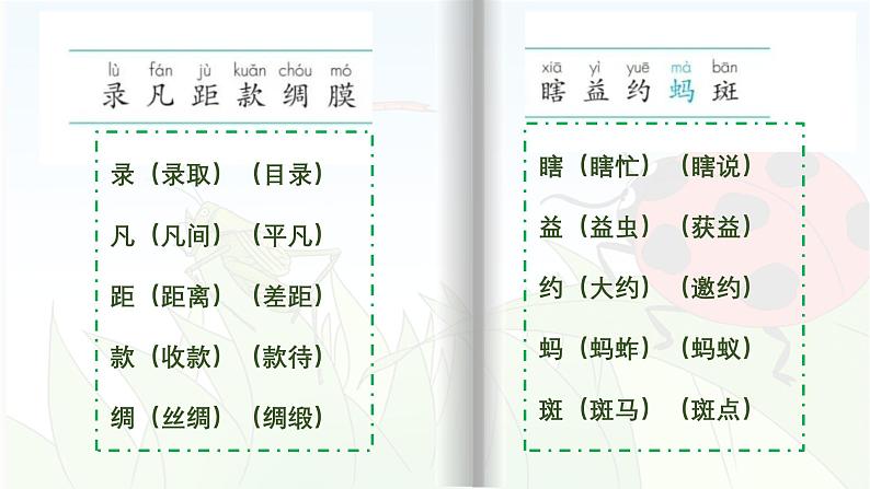 【早读】部编版语文三年级下册 4《昆虫备忘录》早读课件PPT第3页