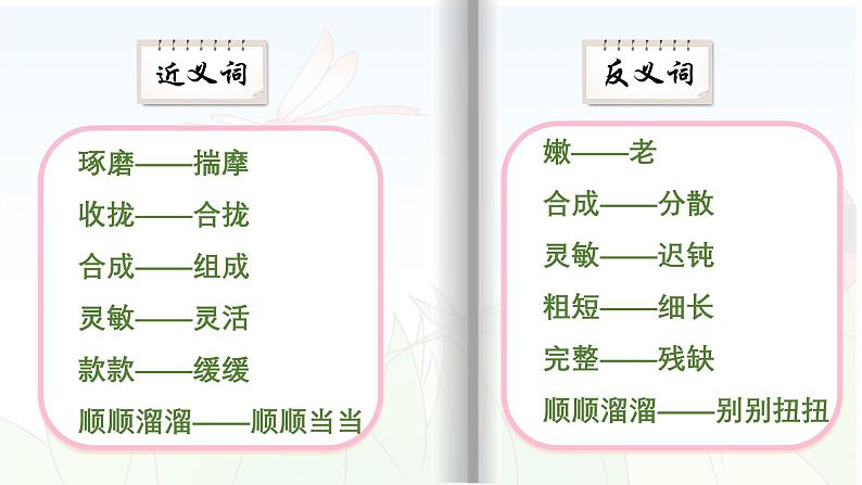 【早读】部编版语文三年级下册 4《昆虫备忘录》早读课件PPT第7页