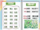 【早读】部编版语文三年级下册 14《蜜蜂》早读课件PPT