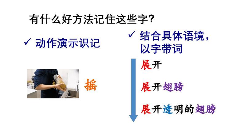 小学语文新部编版一年级下册第六单元12 荷叶圆圆教学课件（2025春）第8页