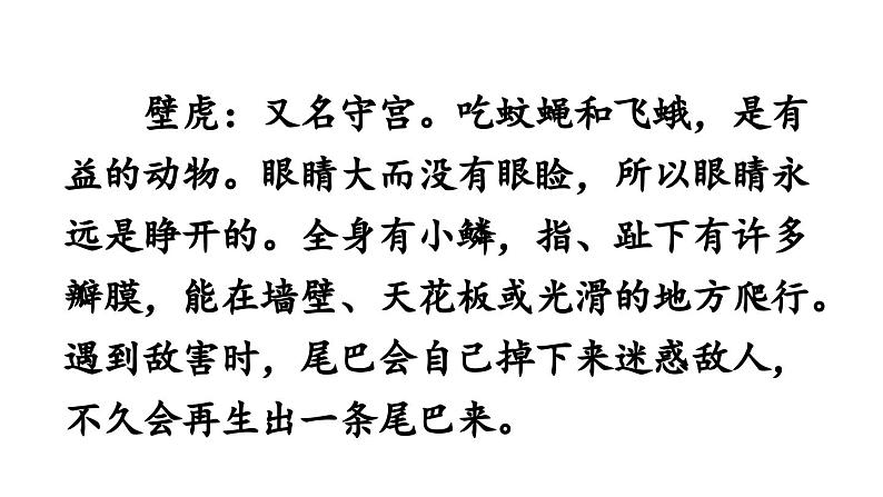 小学语文新部编版一年级下册第八单元20 小壁虎借尾巴教学课件（2025春）第4页