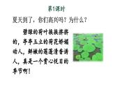 小學(xué)語(yǔ)文新部編版一年級(jí)下冊(cè)第六單元10 古詩(shī)二首教學(xué)課件（2025春）