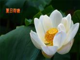 小學(xué)語(yǔ)文新部編版一年級(jí)下冊(cè)第六單元10 古詩(shī)二首教學(xué)課件（2025春）