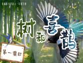【新課改】部編版語文一年級(jí)下冊 5《樹和喜鵲》課件+教案+音視頻素材