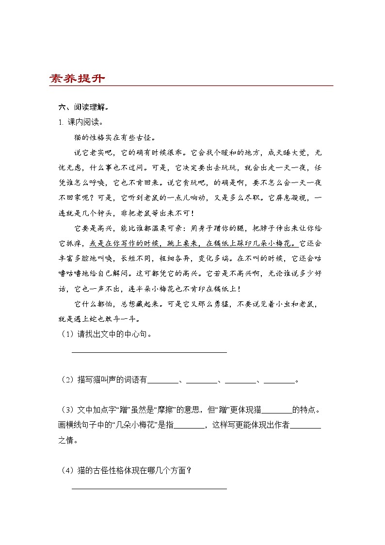 小学语文四年级下册部编版 第四单元第13课 猫（同步练）第3页