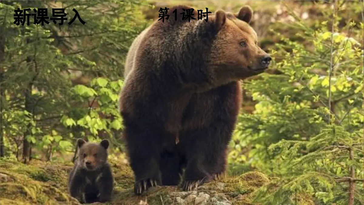 统编版一年级语文下册课件《动物王国开大会》第2页