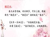 统编版四年级语文下册课件《三月桃花水》