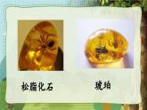统编版四年级语文下册教学课件《琥珀》