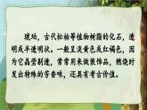 统编版四年级语文下册教学课件《琥珀》