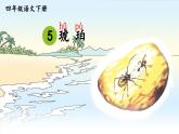 统编版四年级语文下册教学课件《琥珀》