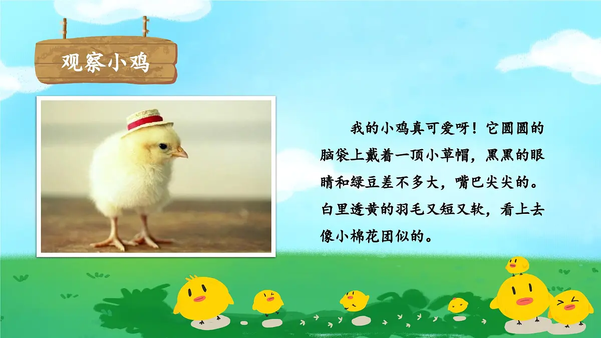 统编版四年级语文下册教学课件《习作：我的动物朋友》第7页