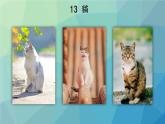 统编版四年级语文下册教学课件《猫》