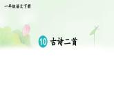 統(tǒng)編版一年級(jí)語(yǔ)文下冊(cè)《古詩(shī)二首》教學(xué)課件
