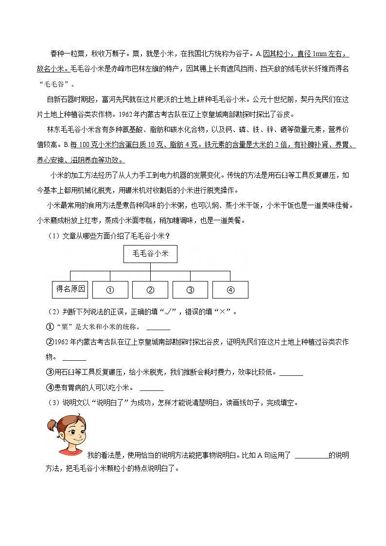 2024-2025学年内蒙古赤峰市巴林左旗五年级（上）期末语文试卷第3页