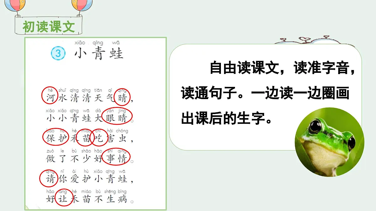 （教学课件）识字3 小青蛙第3页