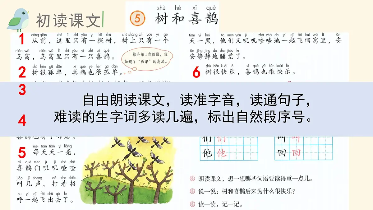 （教学课件）课文5 树和喜鹊第5页
